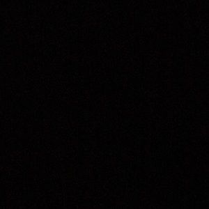 Meet your Posher, Samuel